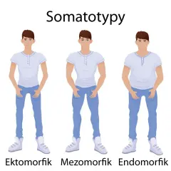 Trzech mężczyzn: ektomorfik, mezomorfik i endomorfik, prezentuje różne typy budowy ciała.