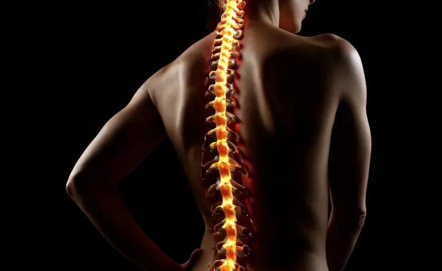 Diagnostyka w kinezyterapii i masażu - Klucz do sukcesu!