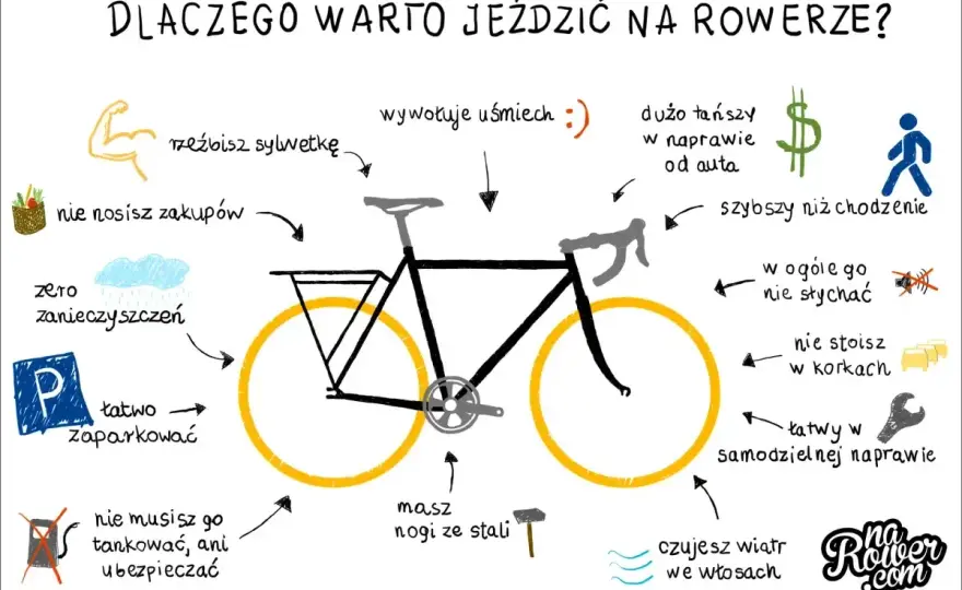 Jazda na rowerze efekty - Jak realnie zmienia się sylwetka?