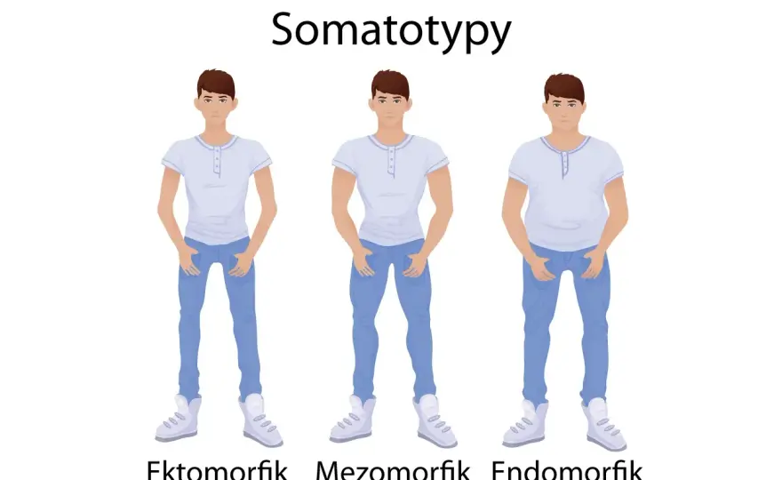 Ektomorfik, mezomorfik, endomorfik - Jak trenować pod typ budowy?